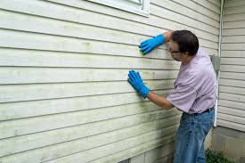 Best Insulated Siding Installation  in , IA